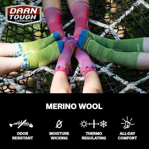 Darn Tough Womens No Show Hidden Lightweight