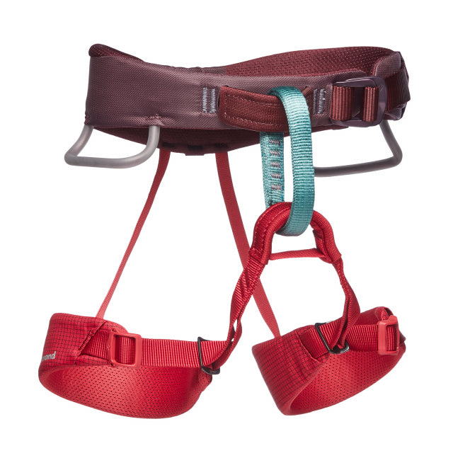 Black Diamond Momentum Harness - Kids' Wild Rose